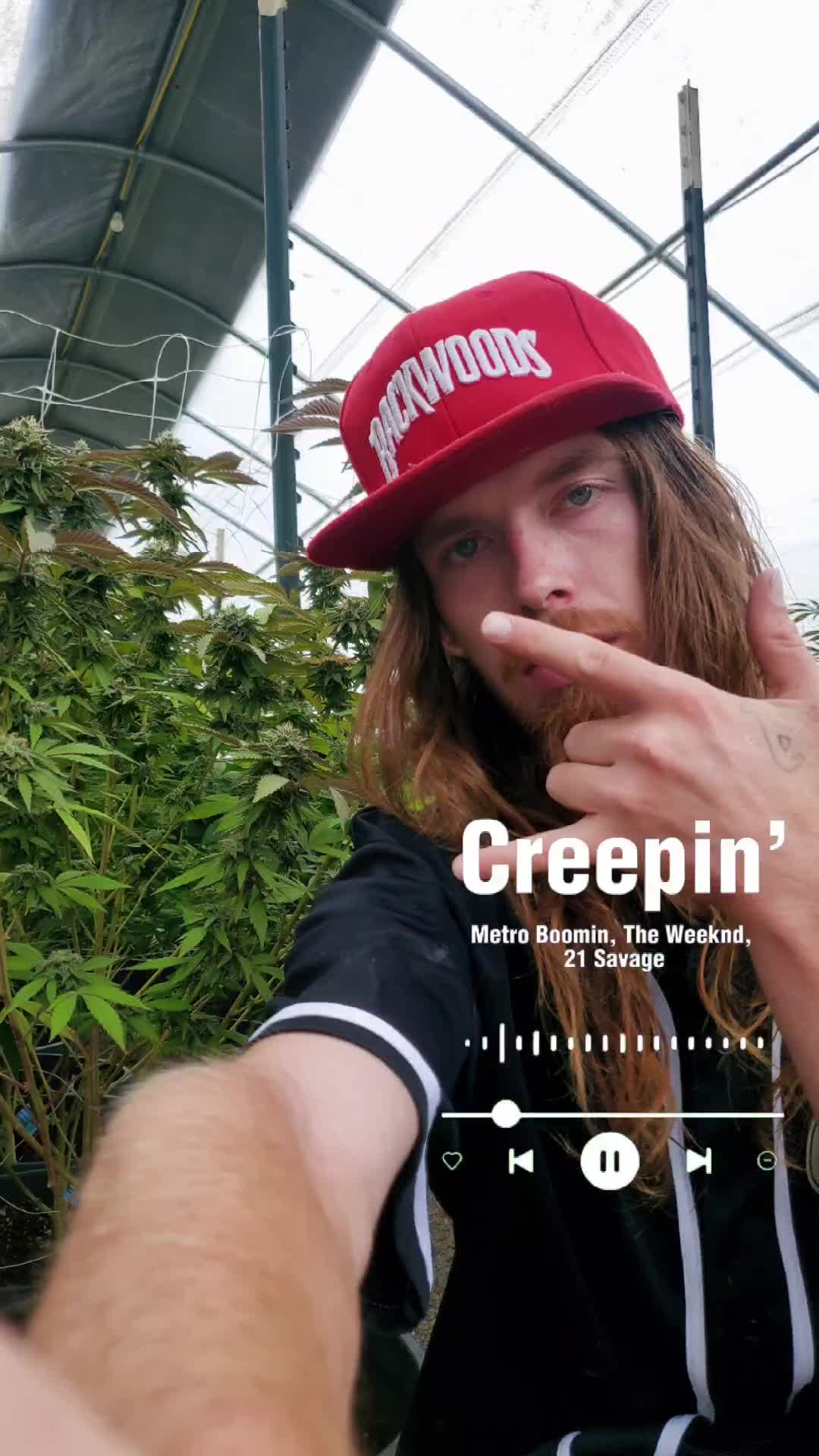 @StonerHippie