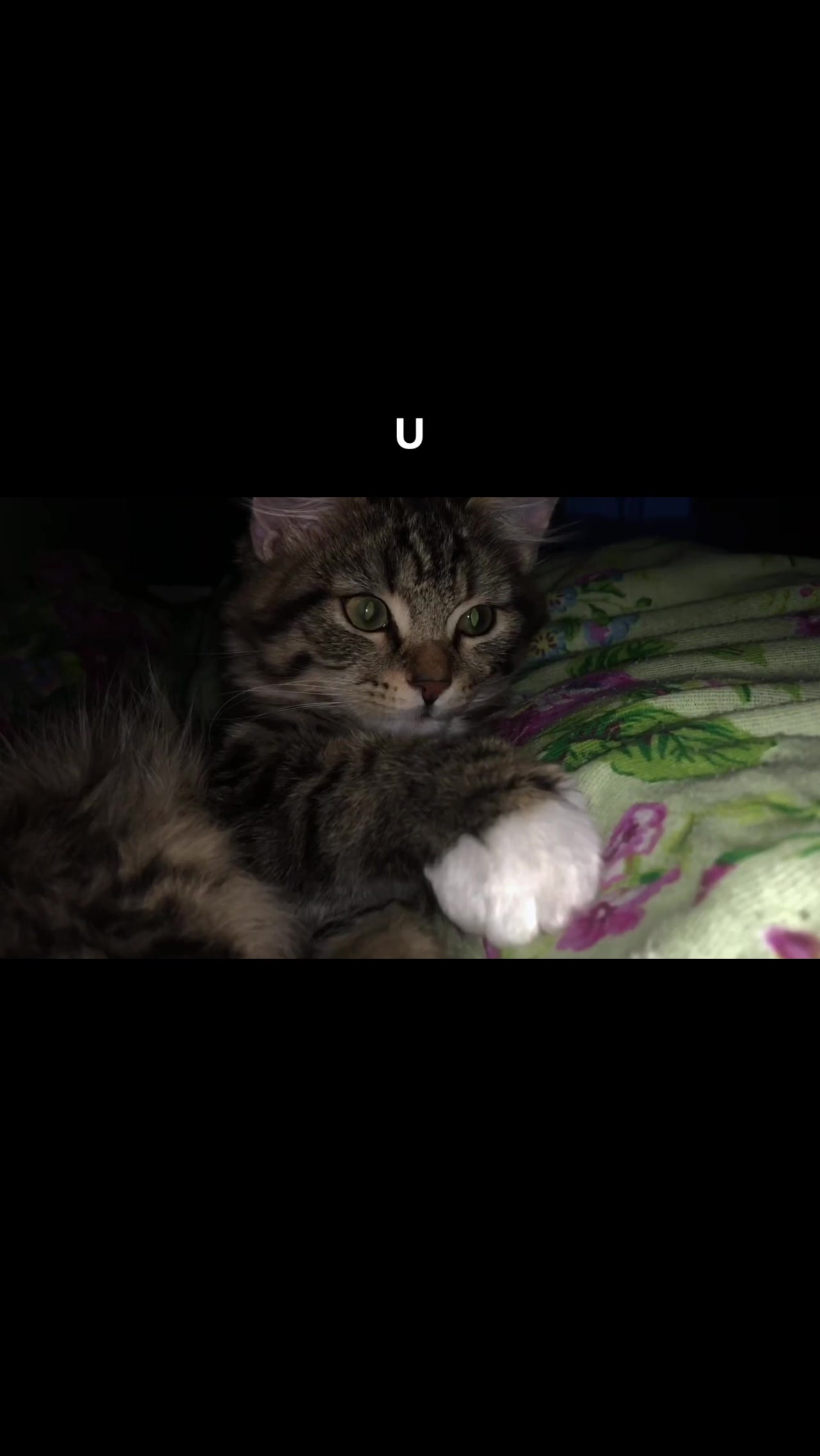 @ 