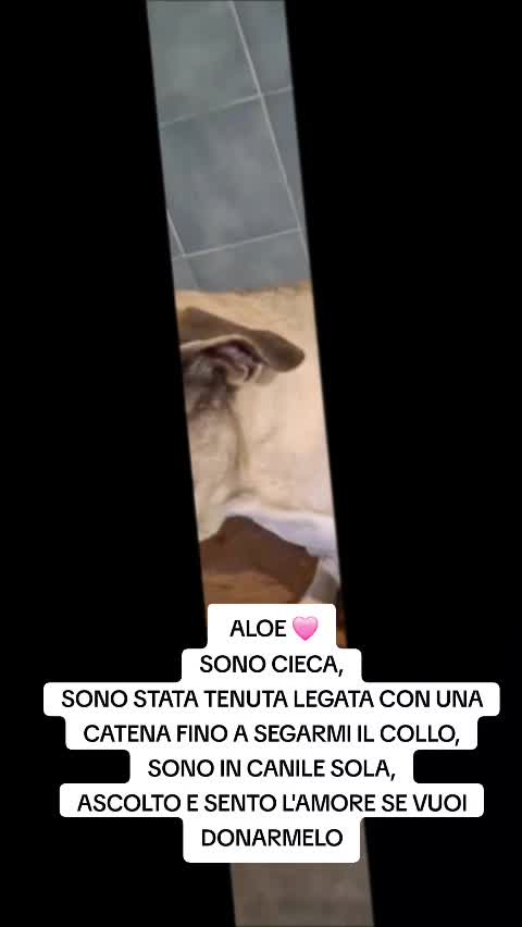@Manuela