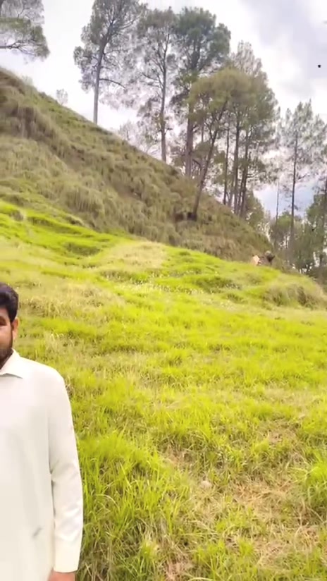 @Nawab zada Asad