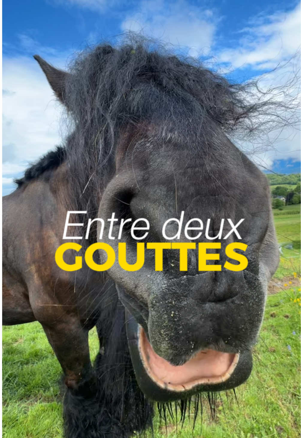 @Untraitdecheval