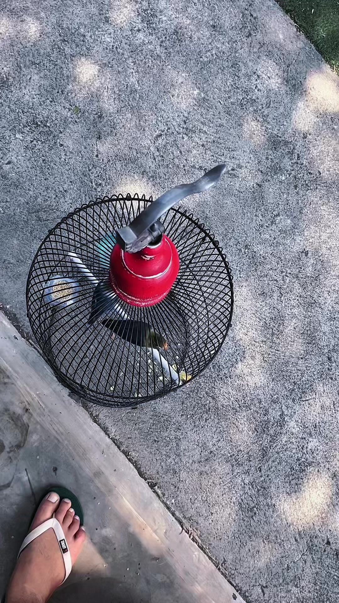 @Congyang_JUICE