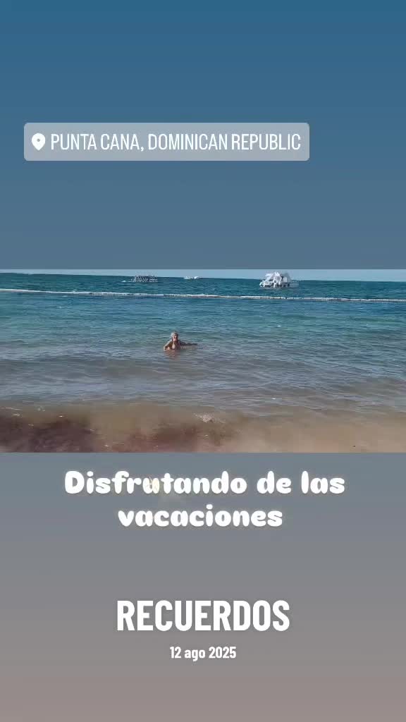 @silvis silvis