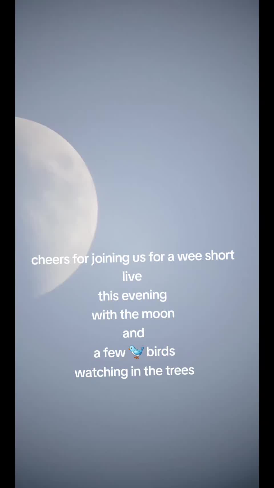 @will🏴