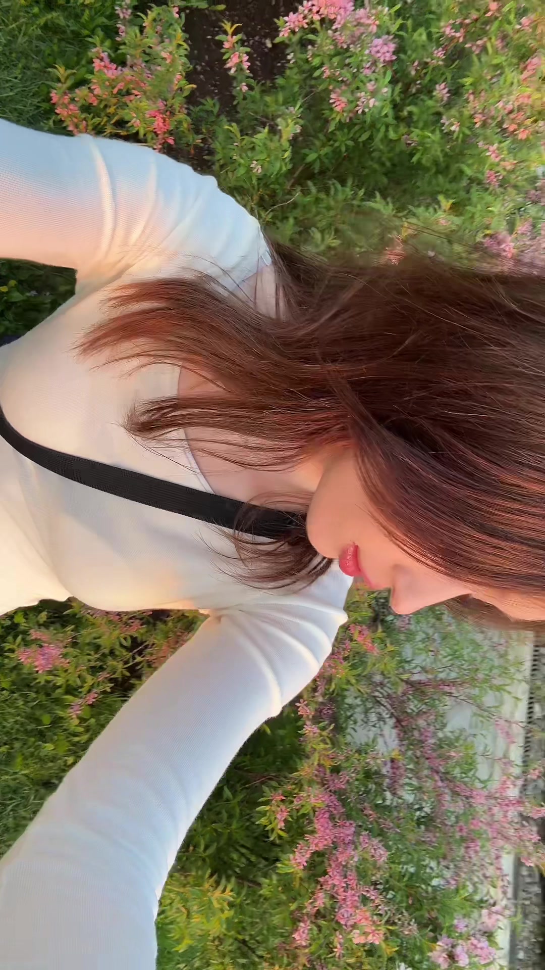 @catlixie