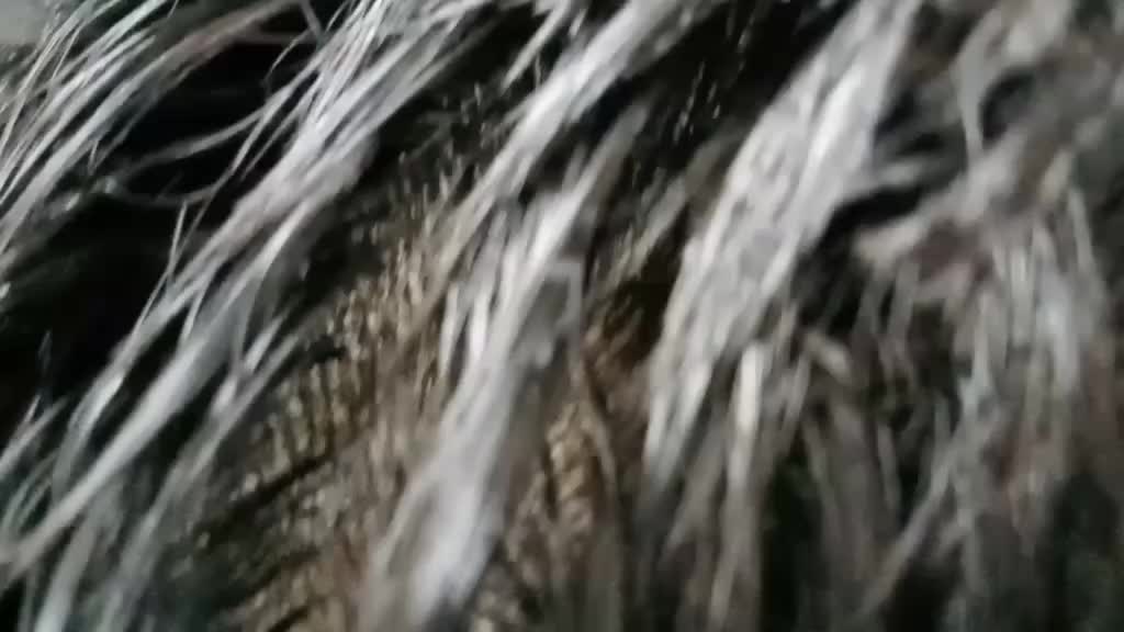 @M Ramdhani8250