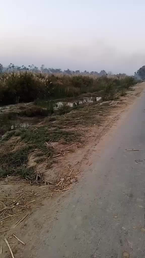 @King ๐๐ช๐ชS๐r๐๐ Sahib