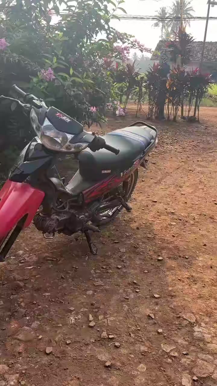 @Mdeddeppa76🍎