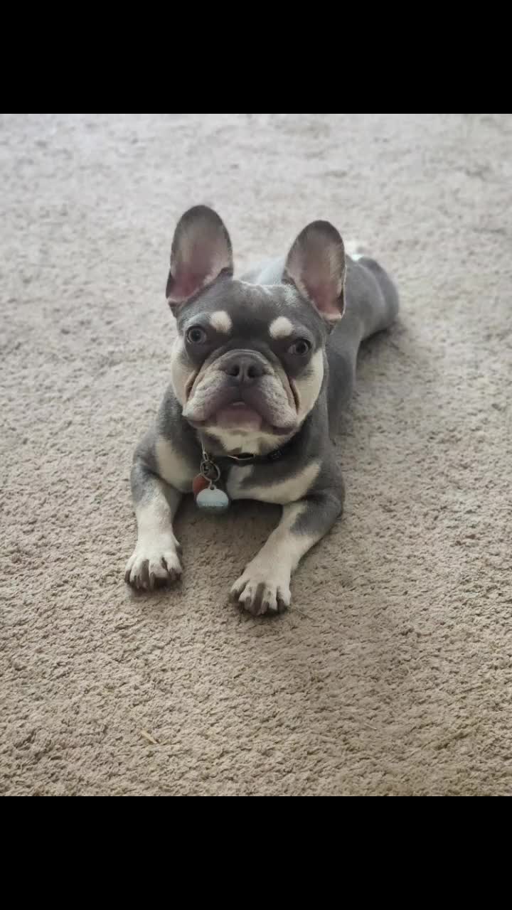 @AdventuresofMumford