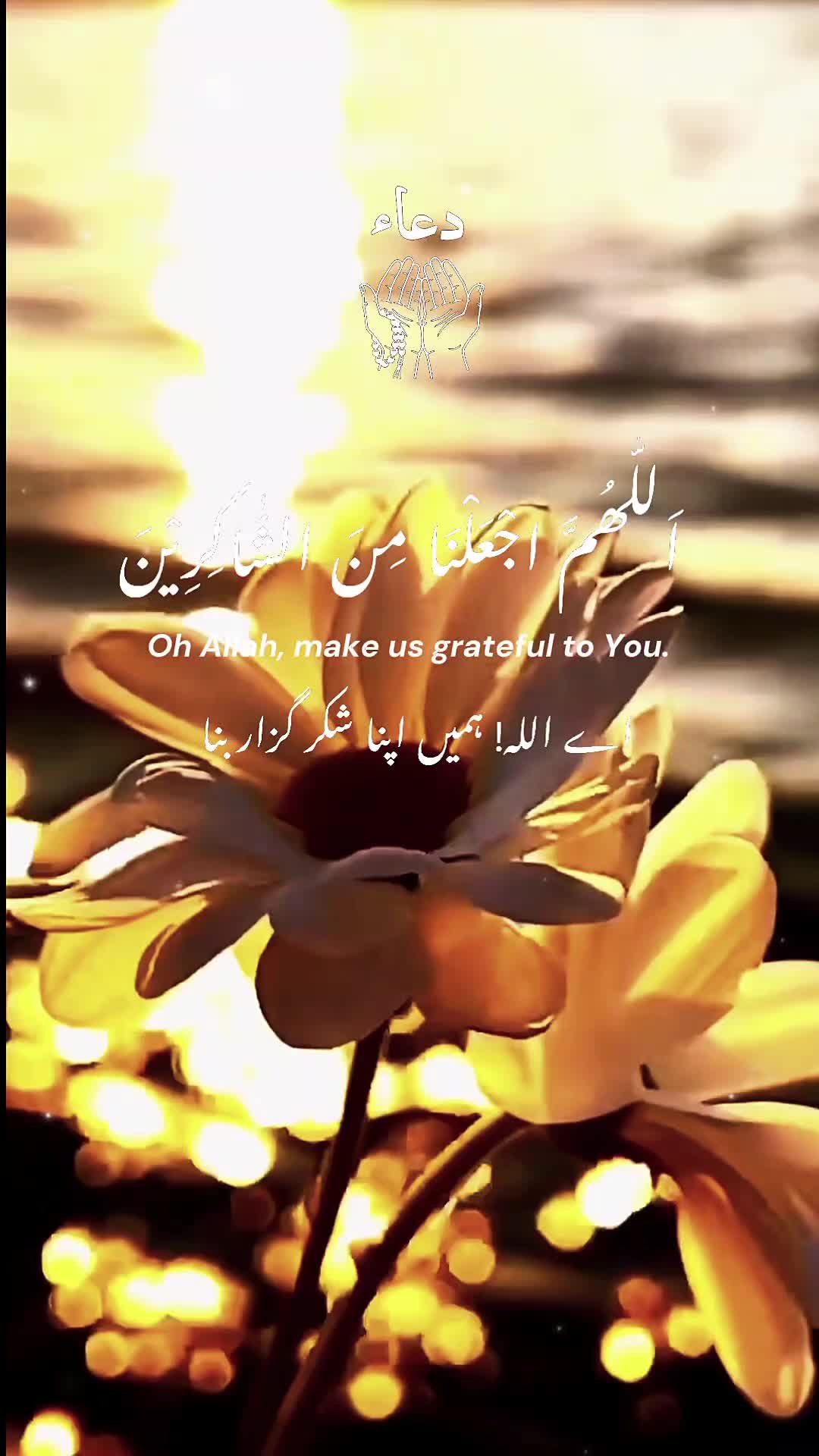 @꧁Mҽʅҽƙ꧂