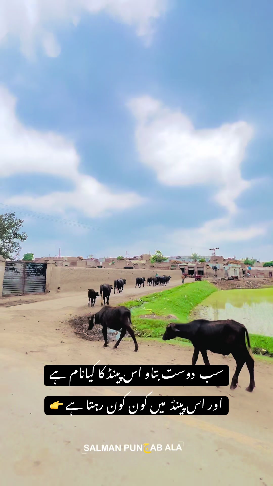 @Salman punjab ala