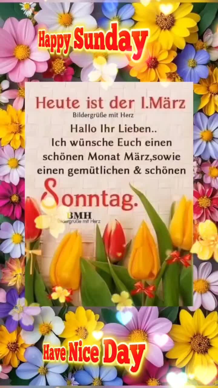 @🌷🌷P.❤️ J.🌷🌷