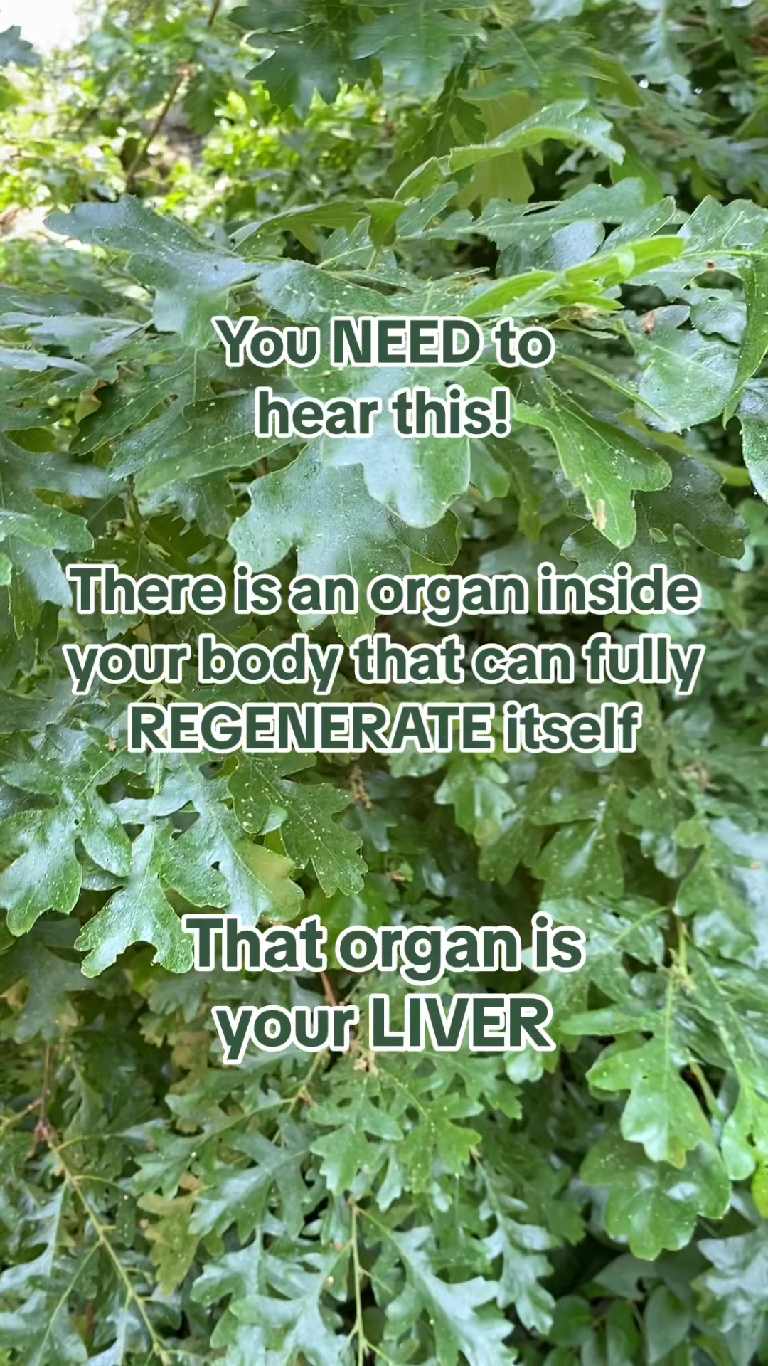 @de-liver-ance