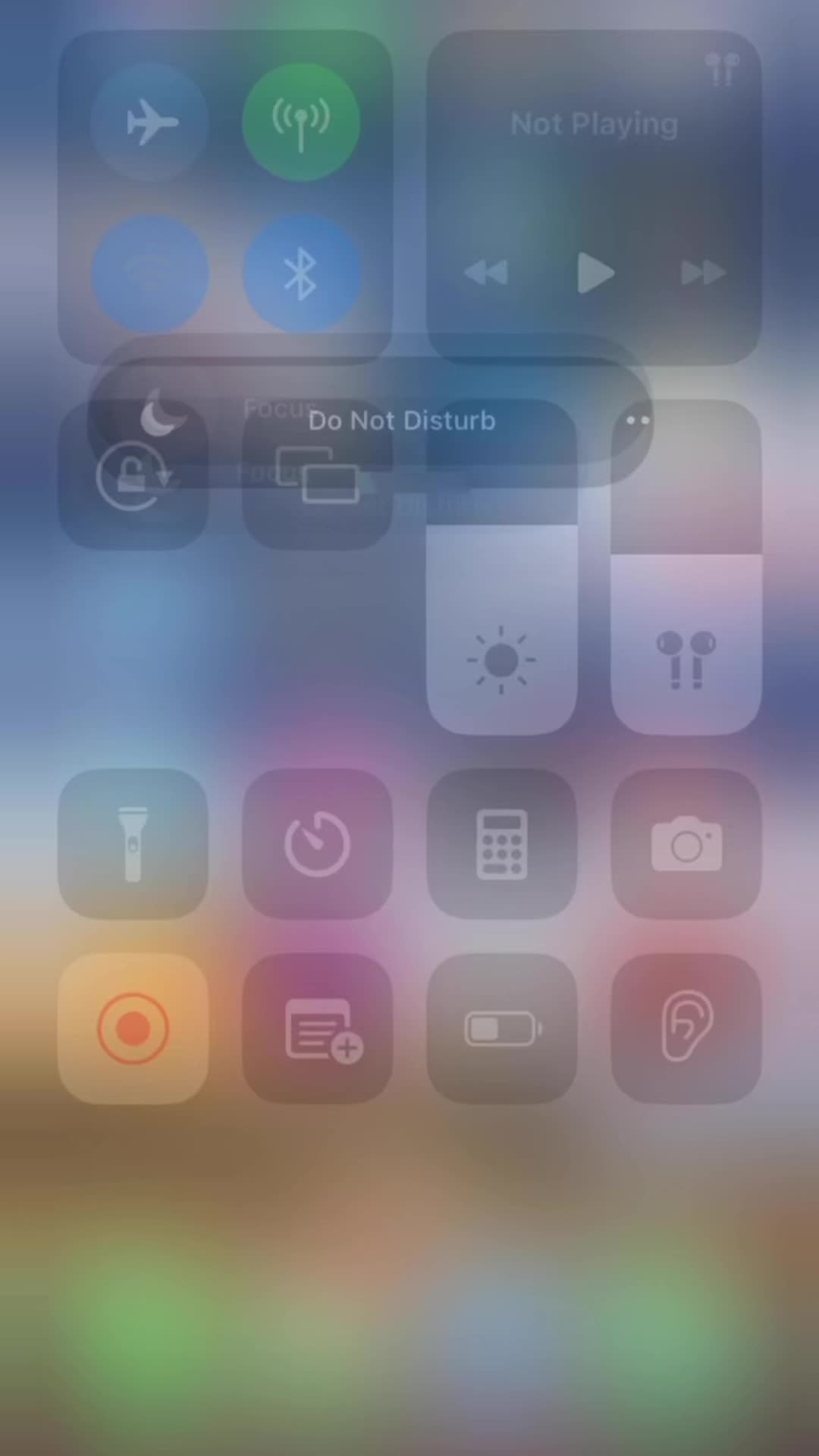 @FREE_REIN_ISMYLIFE FR🤭🐴🐴