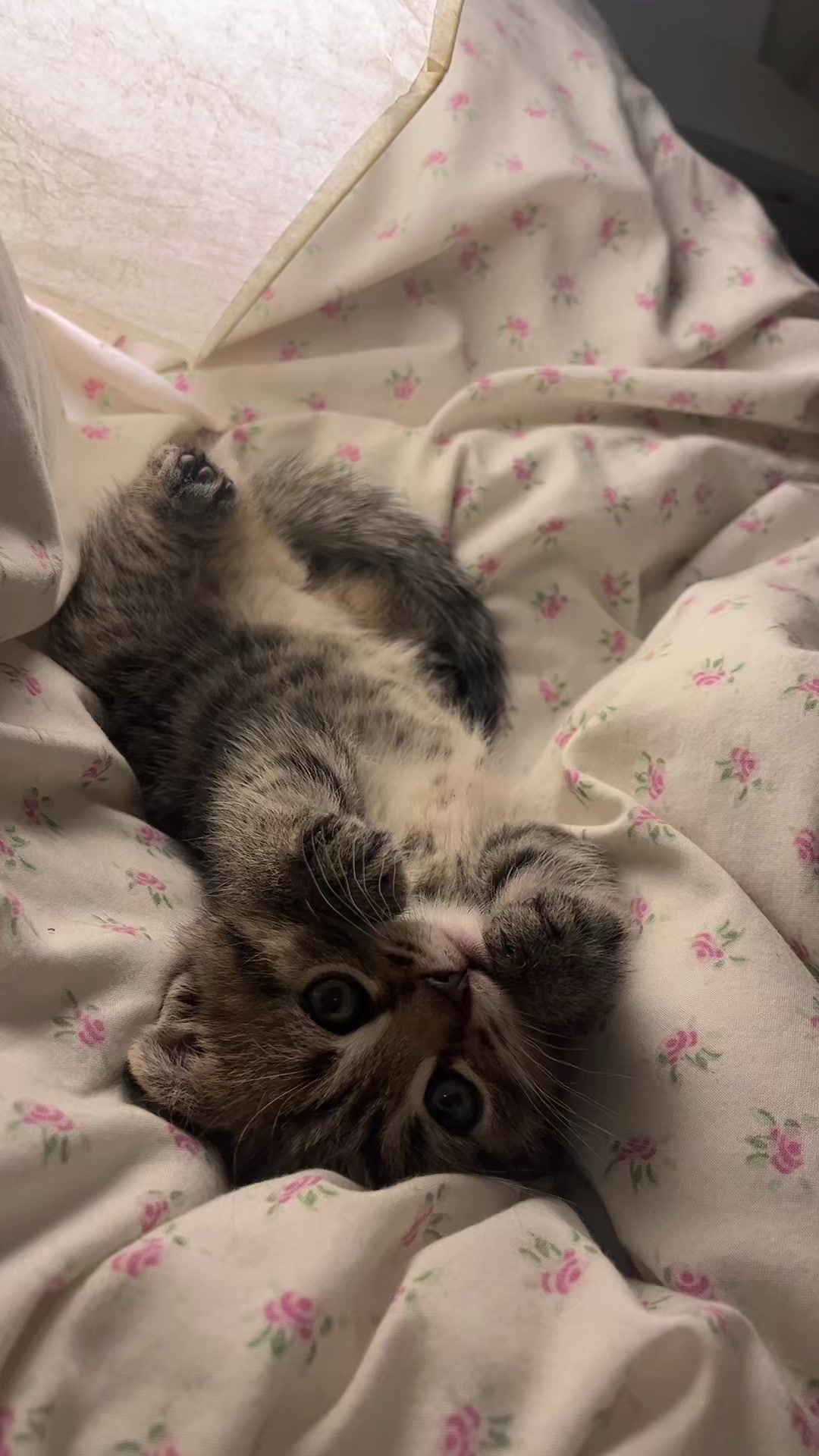 @ูููู๐