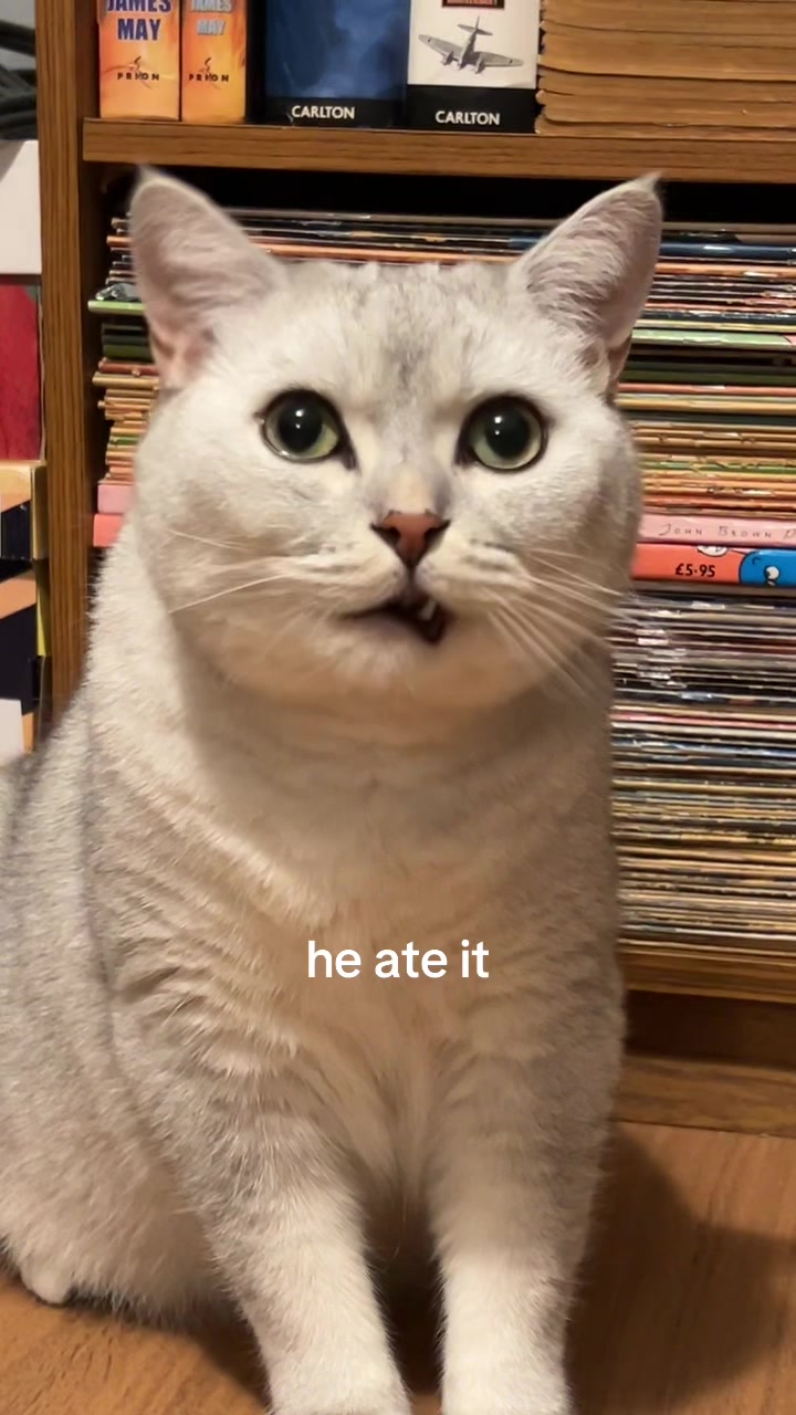 @Sir JJ