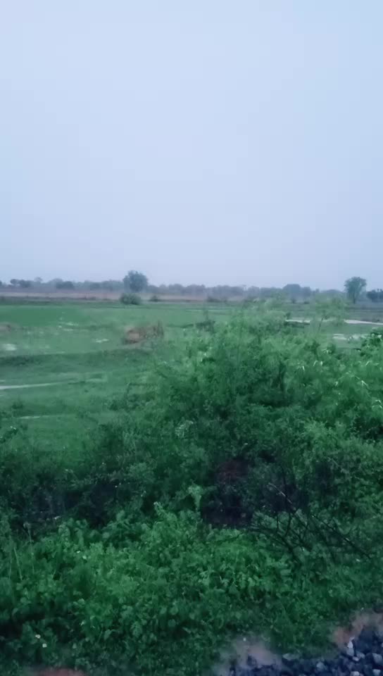 @mallesh yadav
