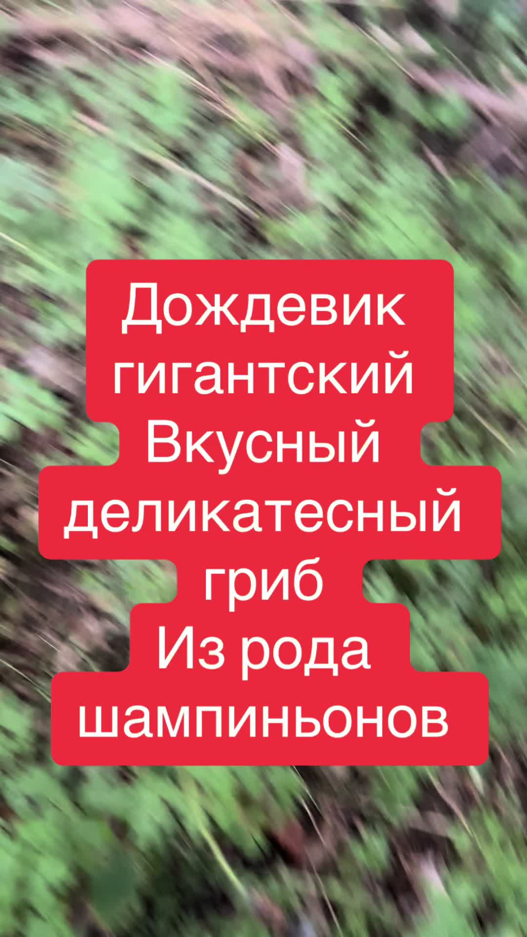 @𝒱𝒶𝓁ℯ𝓇𝒾𝒶 𝒪𝓇ℯ𝓁 ☘︎☼☯︎➶︎