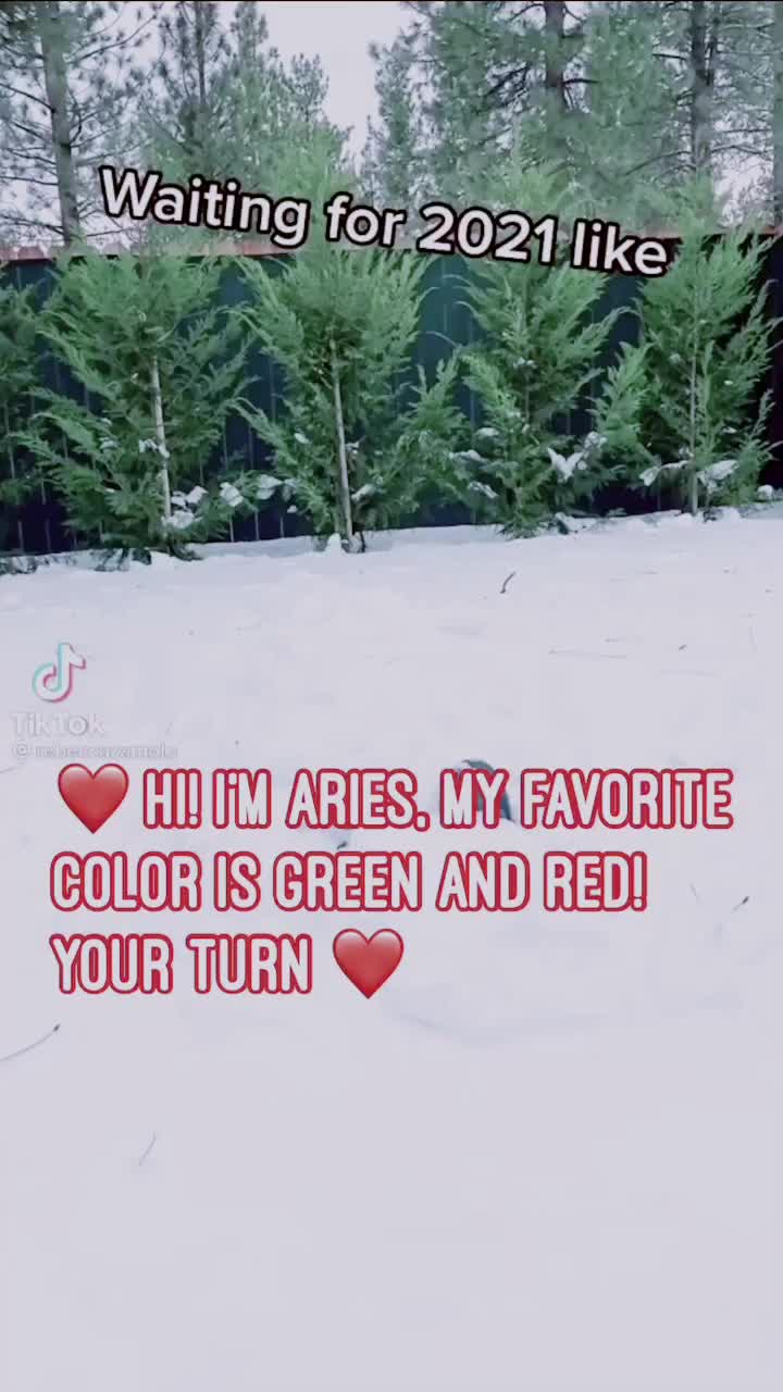 @ℝ𝕖𝕓𝕖𝕔𝕔𝕒 ℤ𝕒𝕞𝕠𝕝𝕠 𝕗𝕡