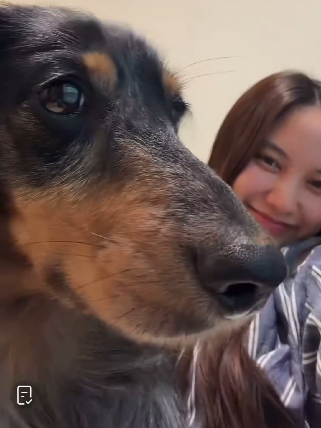 @sos🌷🐶🐱🧚