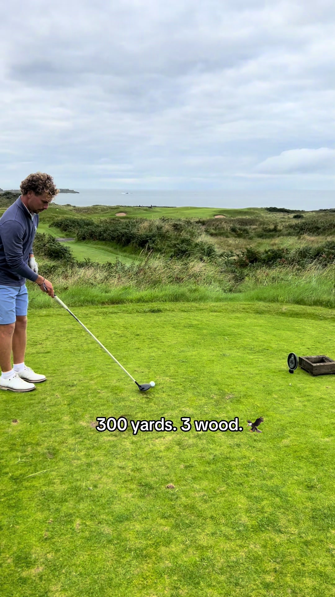 @Josh Rohdich | Golf | Business