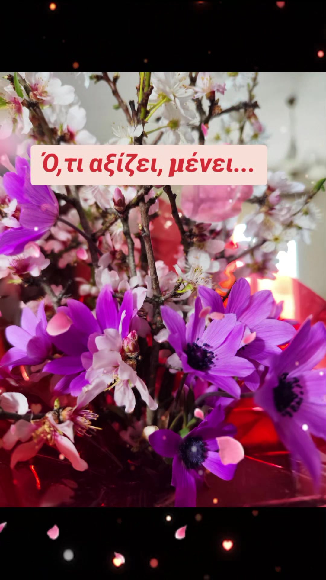 @marga123