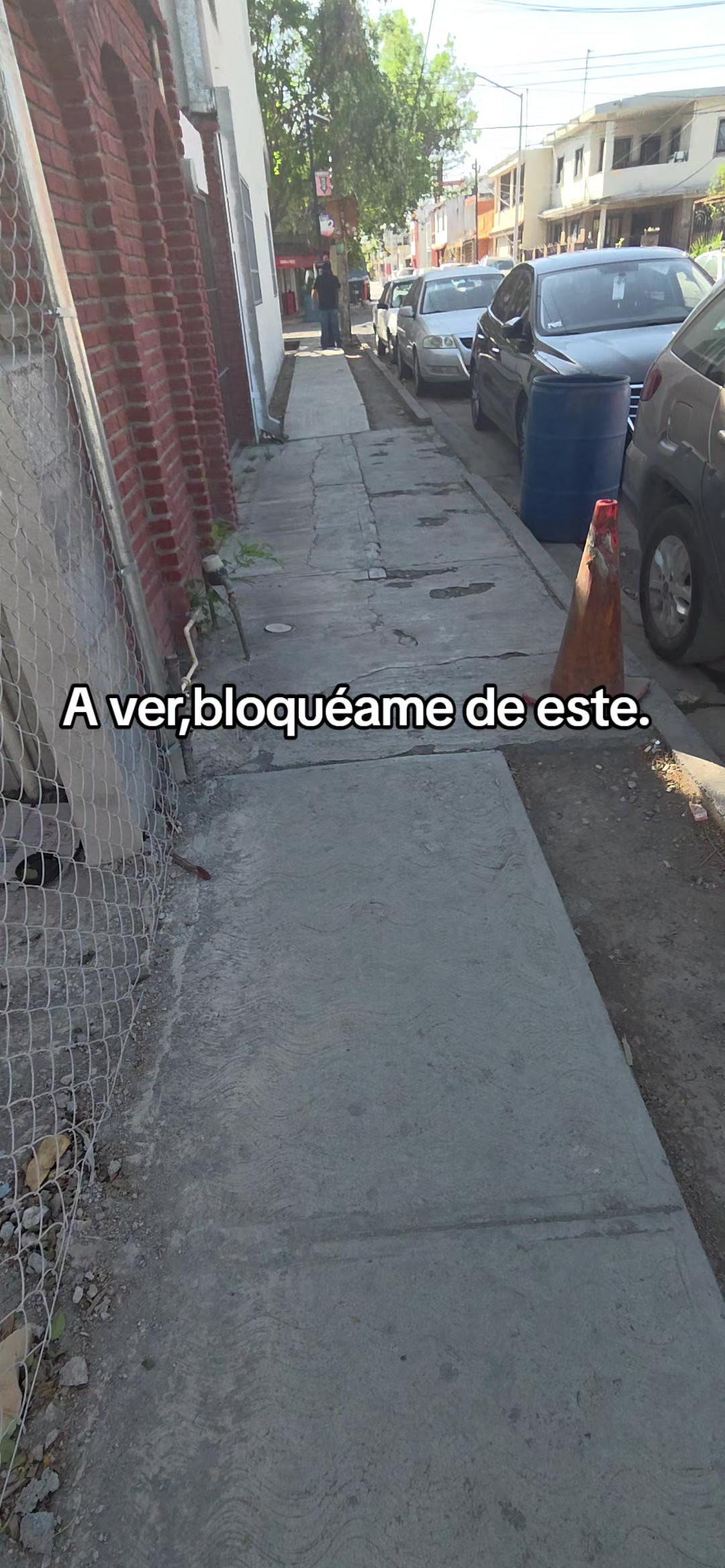 @alejandra flores