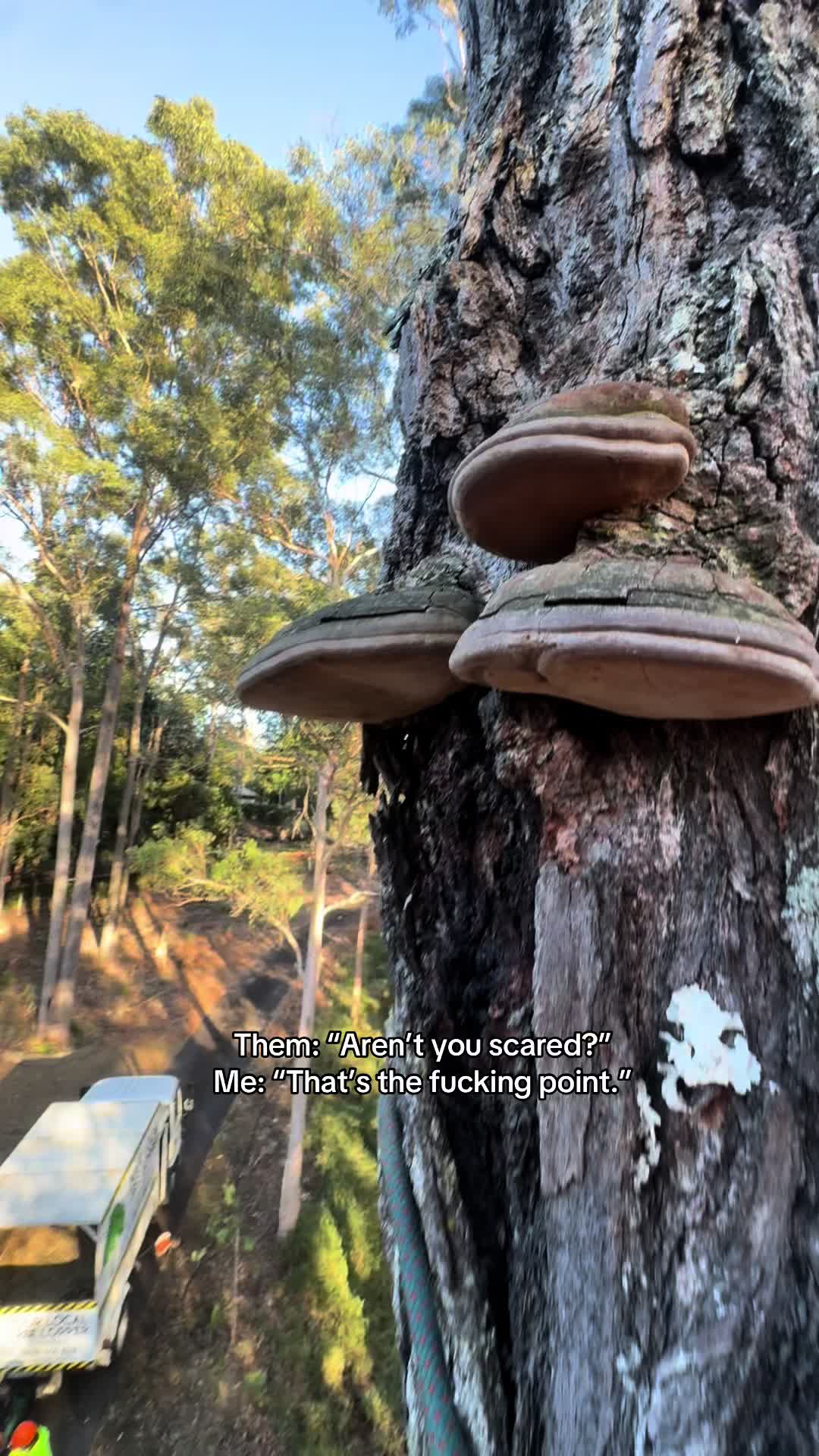 @LumberJackTravels