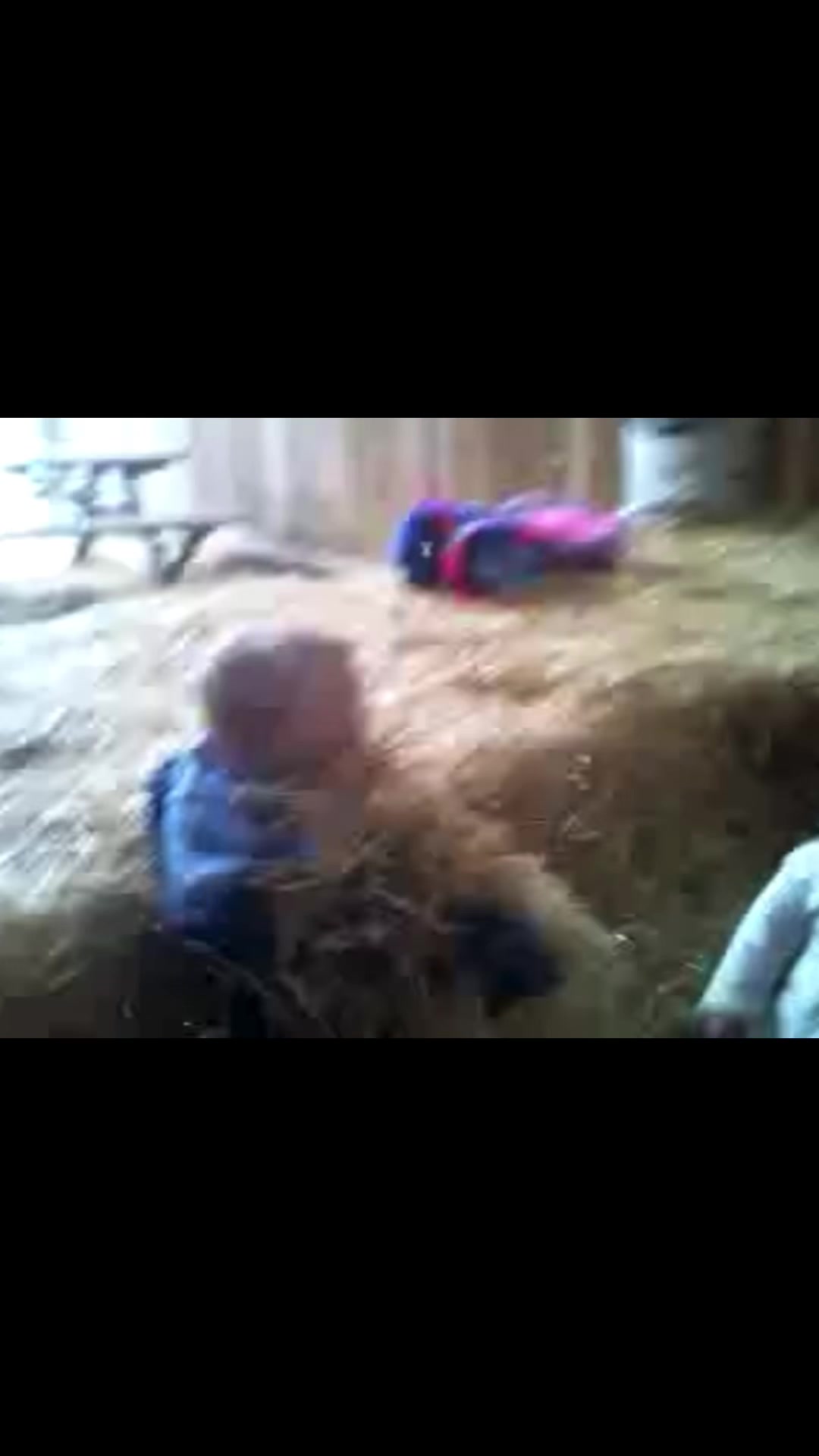 @user37035431206