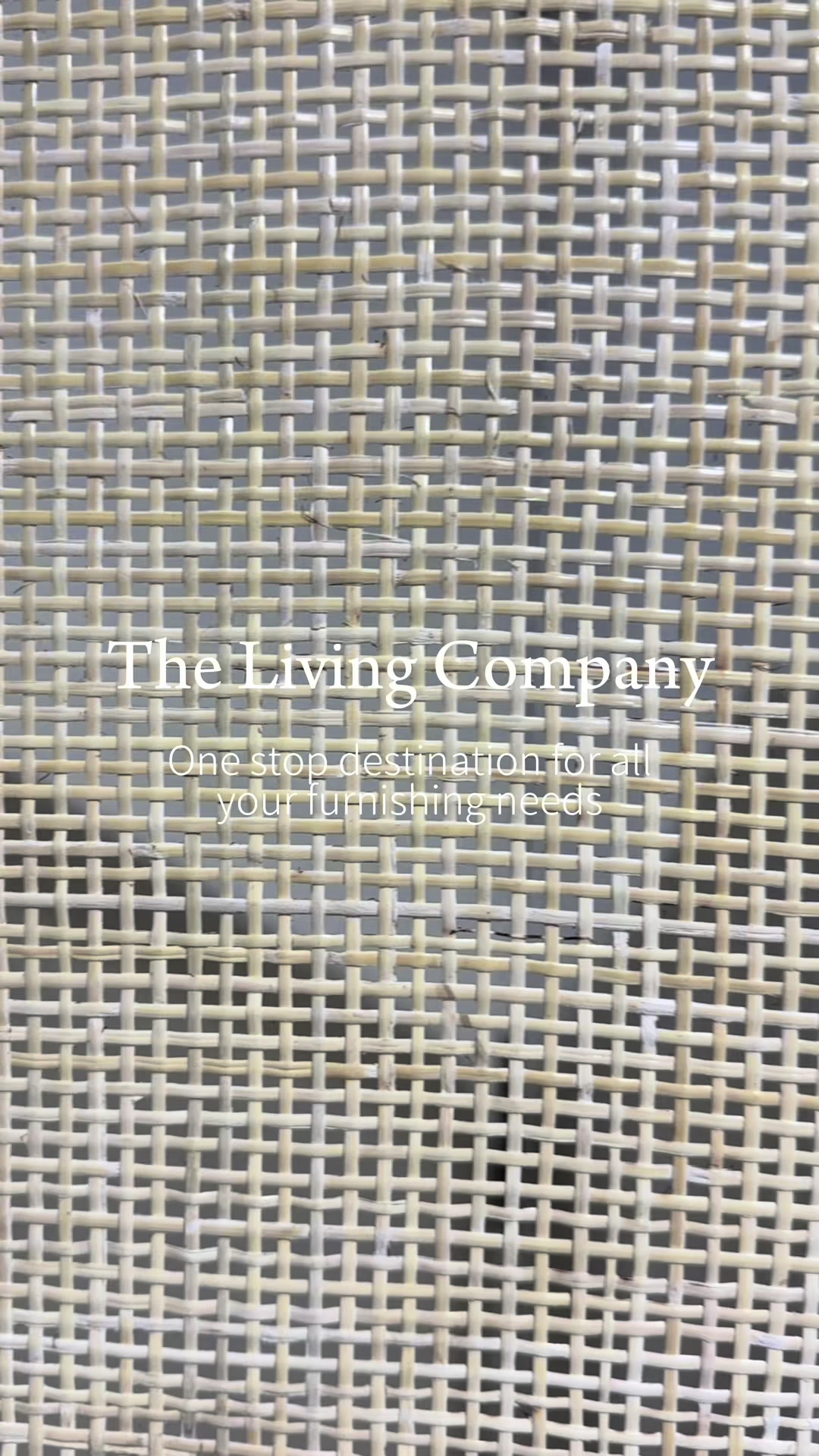 @The Living Company