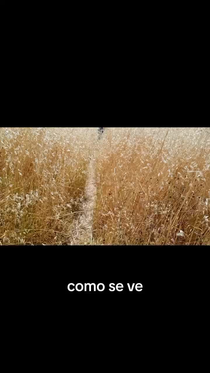 @joseluis