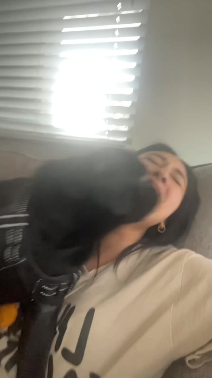@Rigatoni the Pug