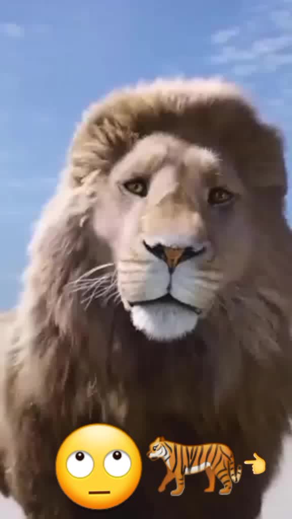 @amenakonjo28