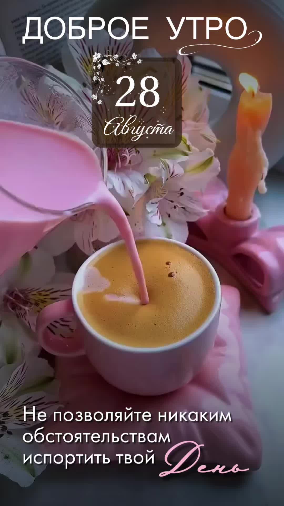 @꧁༺ 𝓞𝓵𝓰𝓪_𝓿.𝓭 ༻꧂
