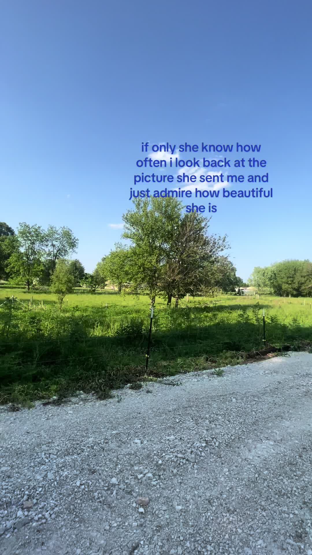 @simphub