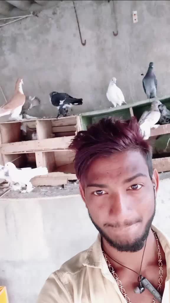 @S Bhisti