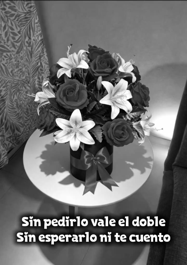 @Viví