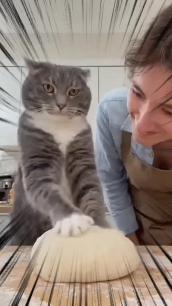 @elgatok