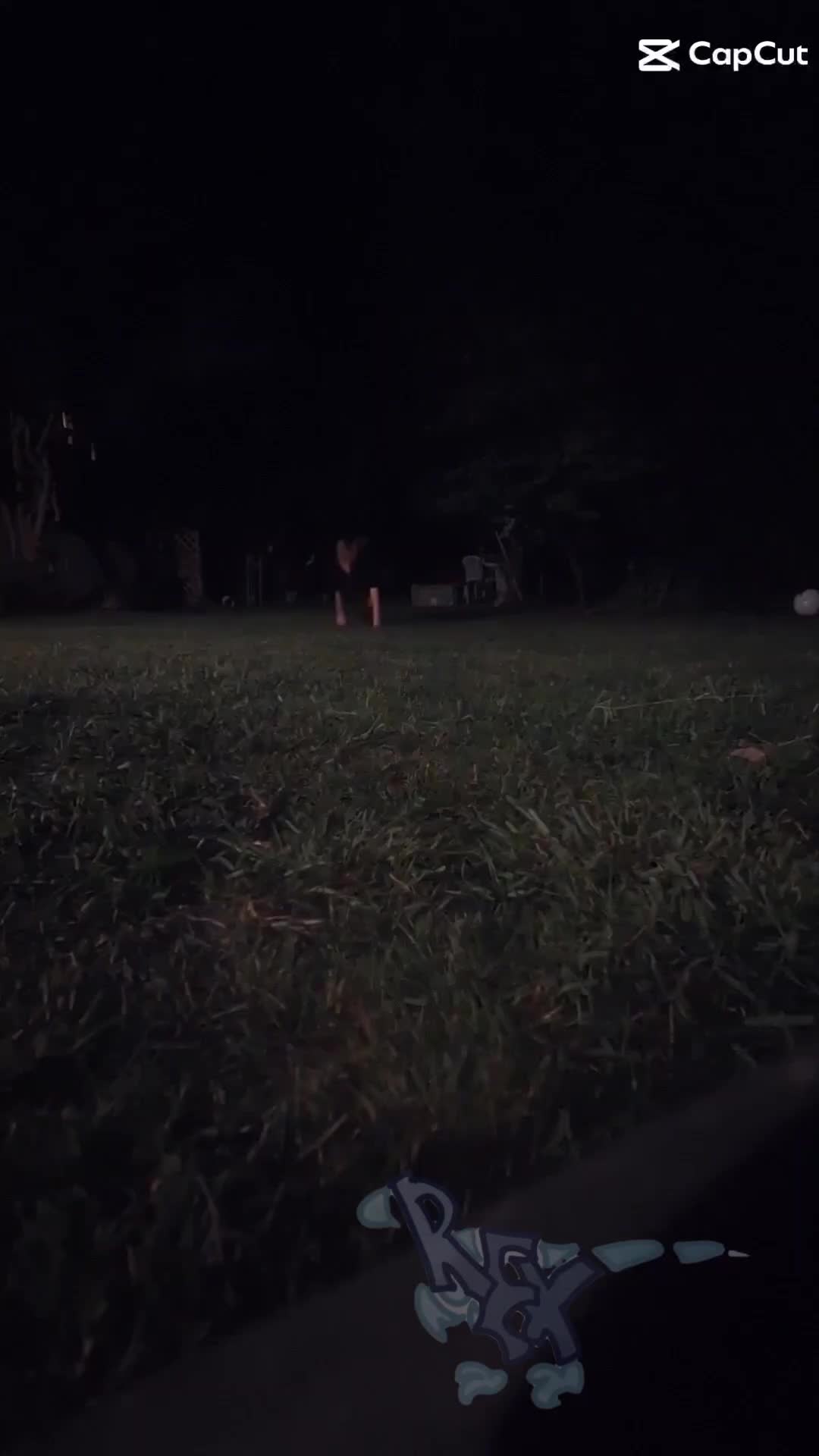 @REX🦖