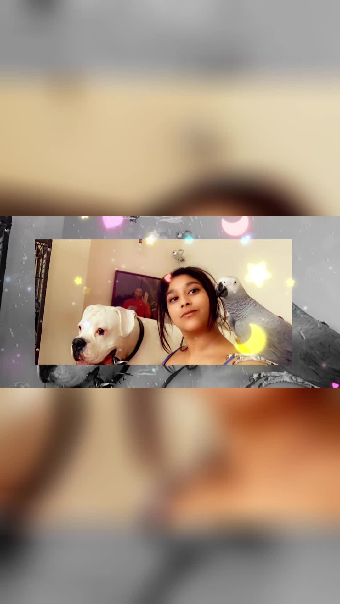 @Rush_Patel67