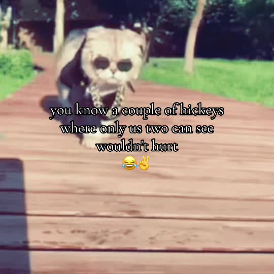 @vrodie4244