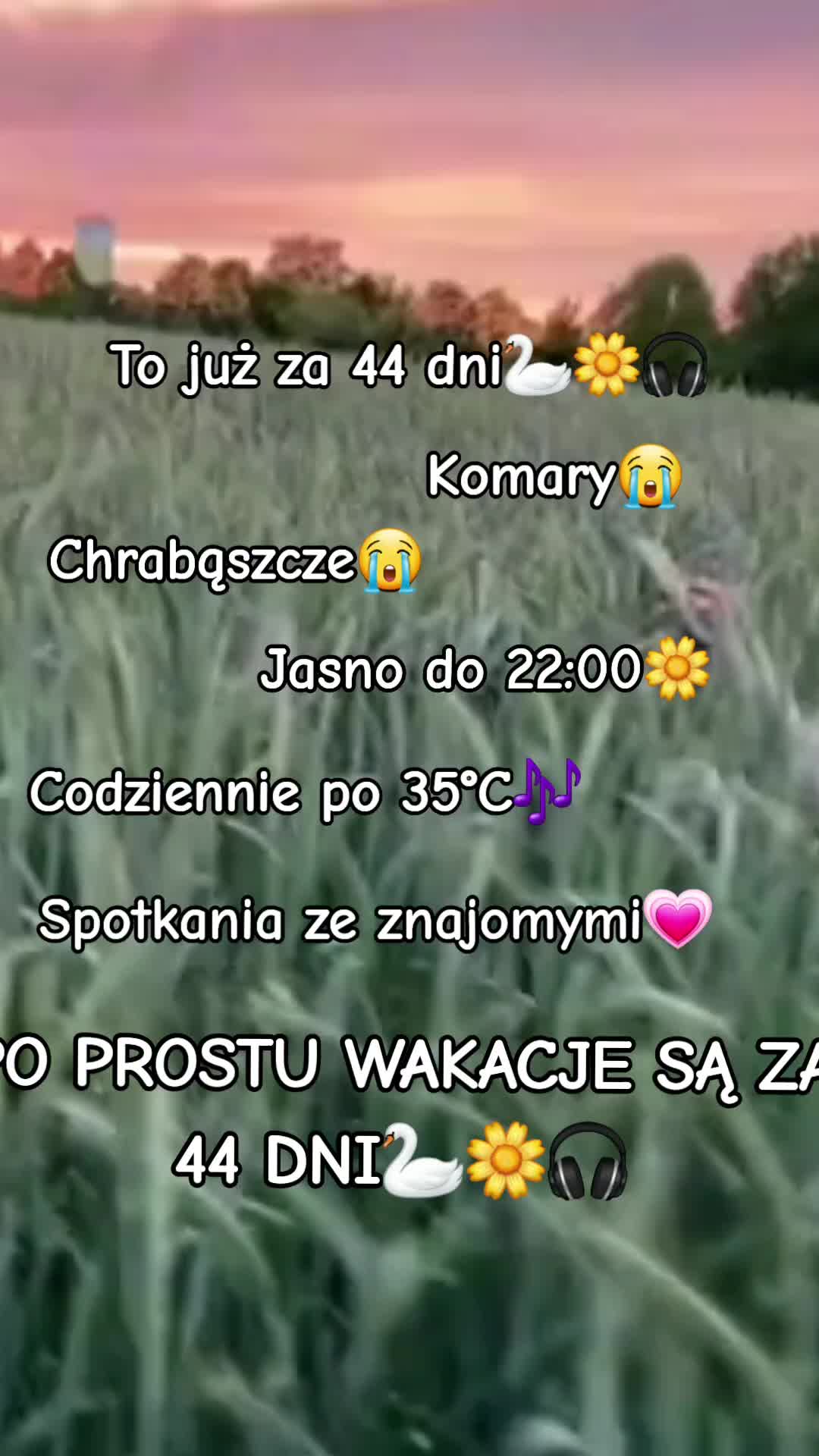 @𝐒𝐮𝐦𝐦𝐞𝐫🗺🌱🌴