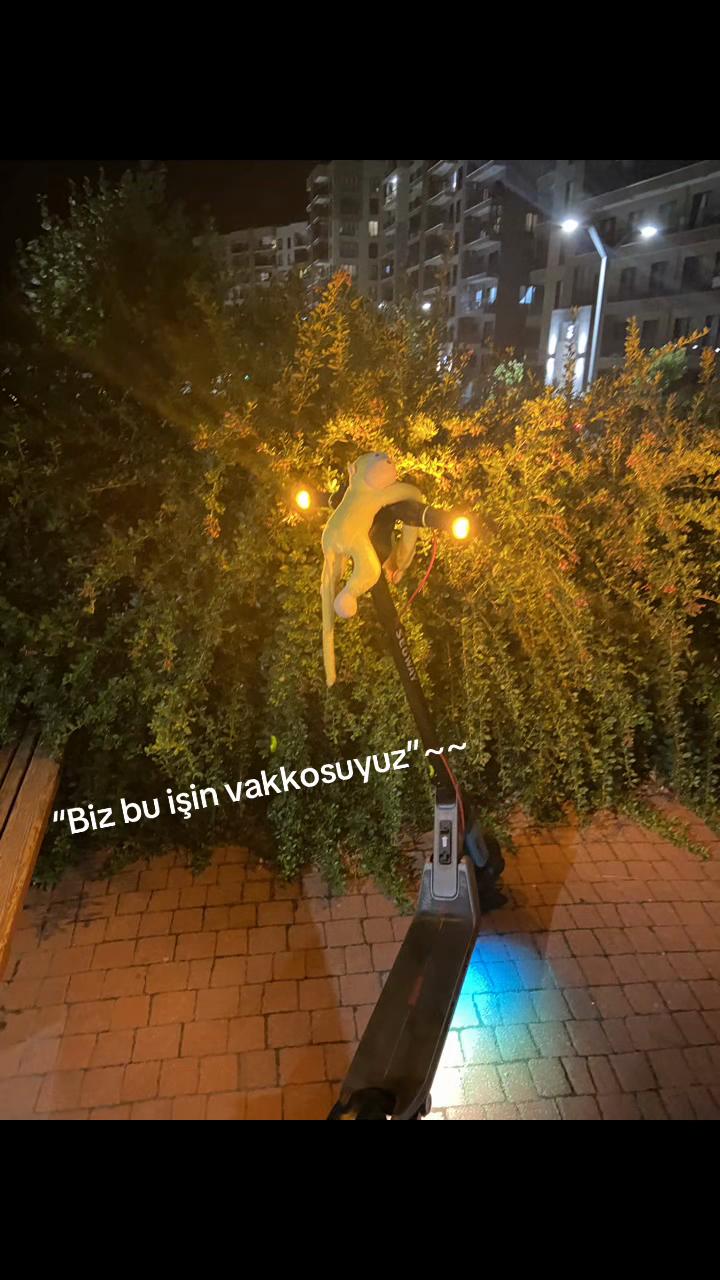 @DEKOR E3🕷️