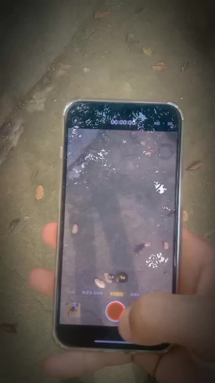 @đông xd