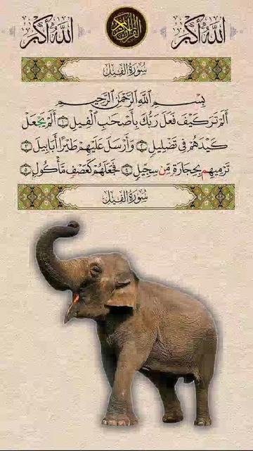 @@ moussa Kaba