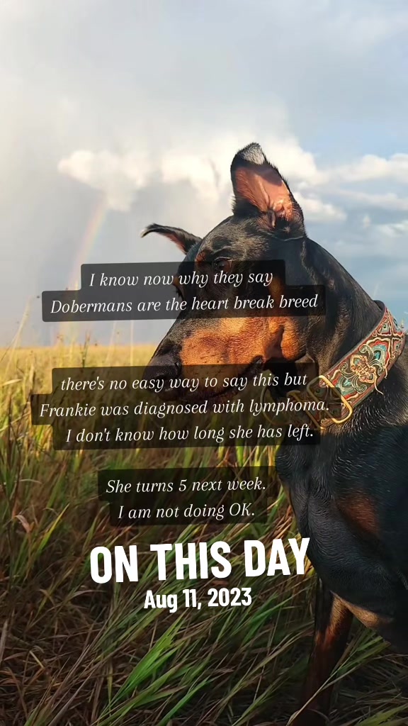 @RaisingHell.Hounds🇨🇦