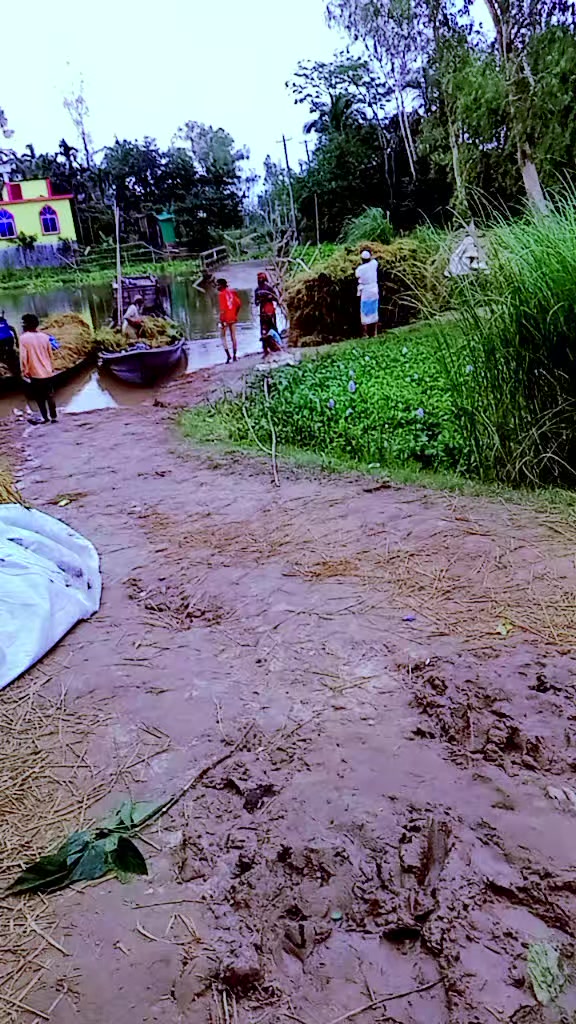 @নীল আকাশের তারা