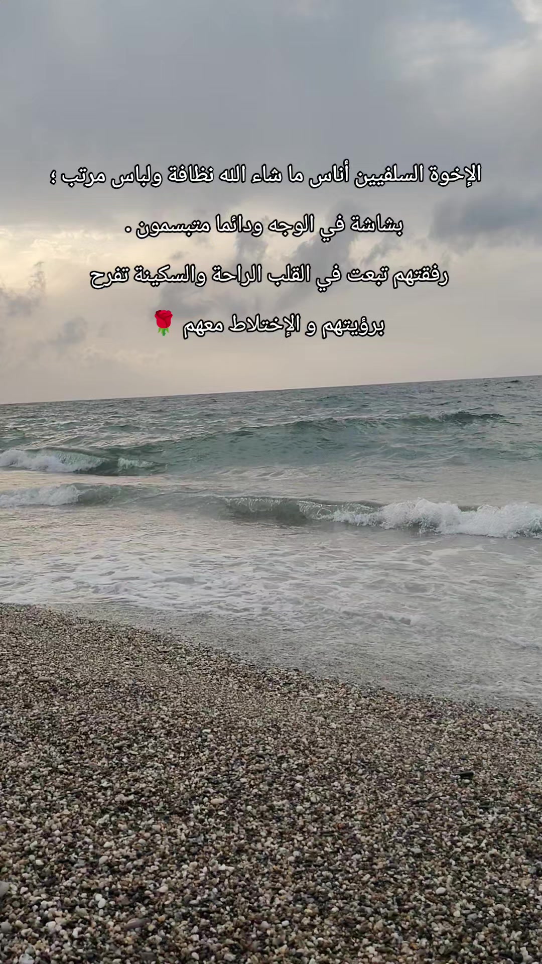 @🌹 خَلَفْ لِخَيْرِ سلَفْ 🌸📚