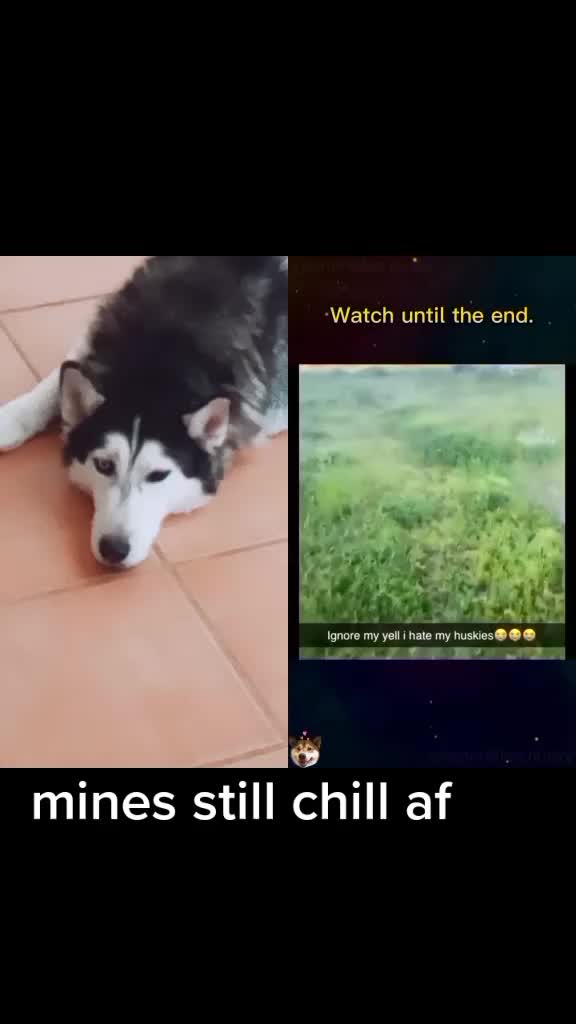 @Ser_Shadow13