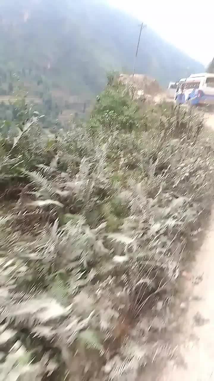 @Bibek Panta